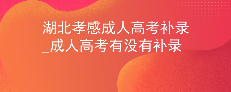 湖北孝感成人高考補錄_成人高考有沒有補錄