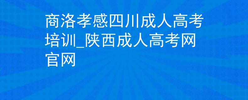 商洛孝感四川成人高考培訓(xùn)_陜西成人高考網(wǎng)官網(wǎng)