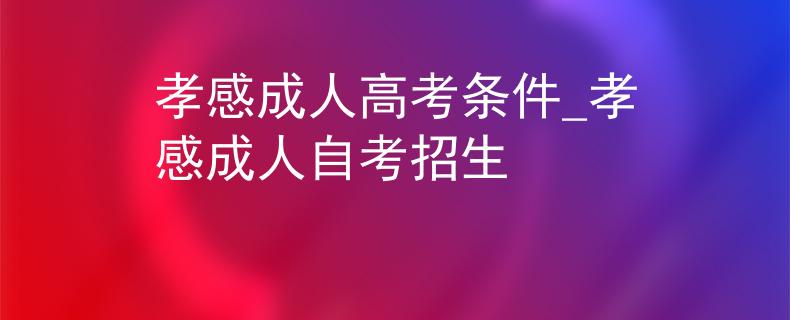孝感成人高考條件_孝感成人自考招生