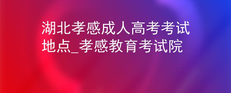 湖北孝感成人高考考試地點(diǎn)_孝感教育考試院