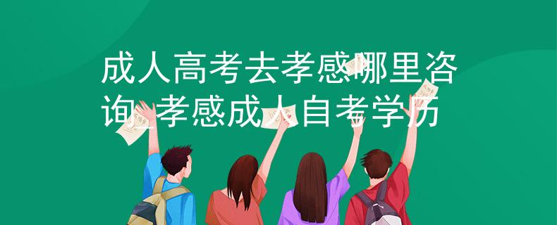 成人高考去孝感哪里咨詢_孝感成人自考學(xué)歷