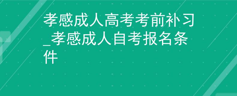 孝感成人高考考前補(bǔ)習(xí)_孝感成人自考報(bào)名條件