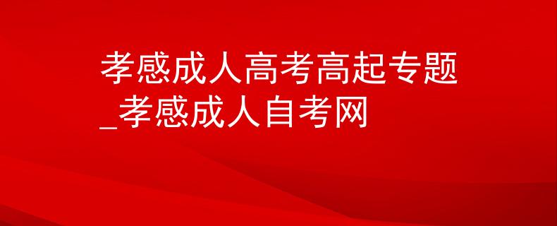 孝感成人高考高起專題_孝感成人自考網(wǎng)