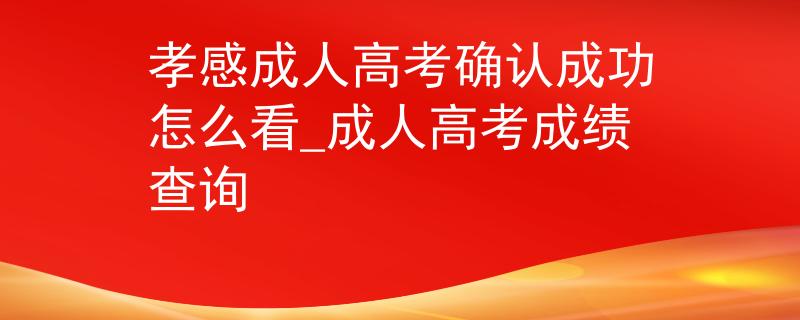 孝感成人高考確認(rèn)成功怎么看_成人高考成績(jī)查詢