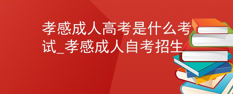 孝感成人高考是什么考試_孝感成人自考招生