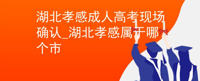 湖北孝感成人高考現(xiàn)場確認_湖北孝感屬于哪個市