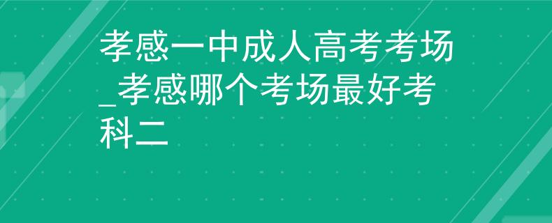 孝感一中成人高考考場_孝感哪個考場最好考科二