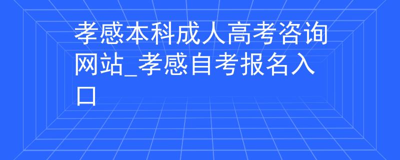 孝感本科成人高考咨詢網(wǎng)站_孝感自考報名入口