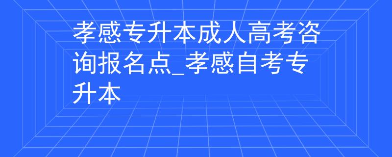 孝感專升本成人高考咨詢報(bào)名點(diǎn)_孝感自考專升本 孝感專升本成人高考咨詢報(bào)名點(diǎn)_孝感自考專升本