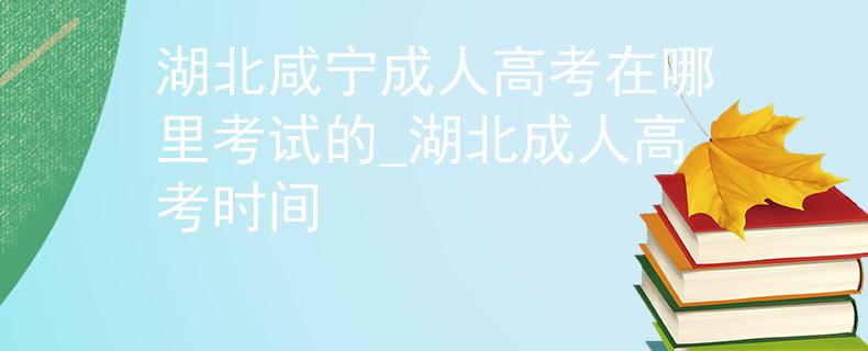 湖北咸寧成人高考在哪里考試的_湖北成人高考時(shí)間
