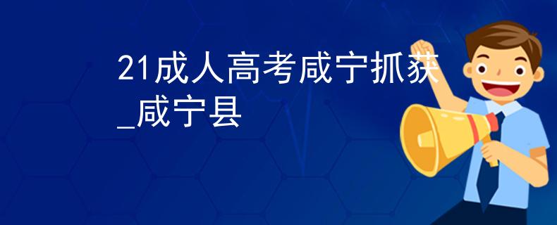 21成人高考咸寧抓獲_咸寧縣