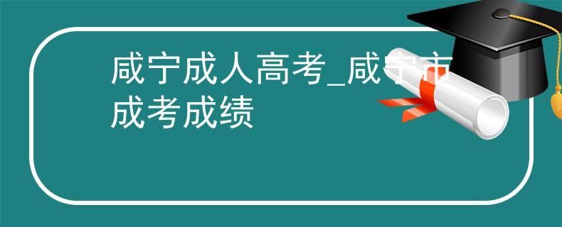 咸寧成人高考_咸寧市成考成績