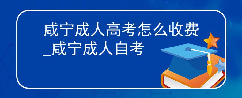 咸寧成人高考怎么收費(fèi)_咸寧成人自考