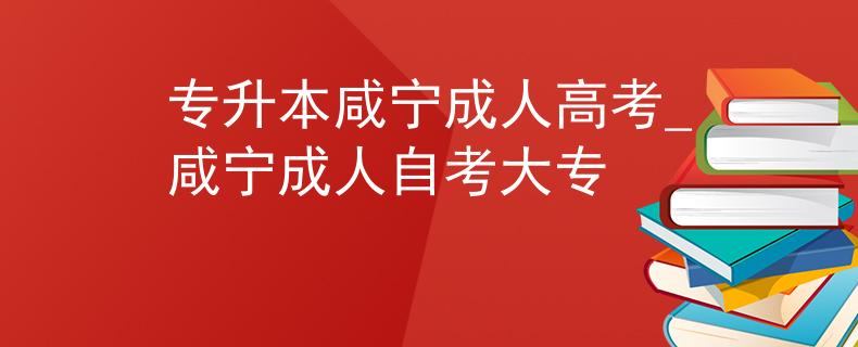 專升本咸寧成人高考_咸寧成人自考大專