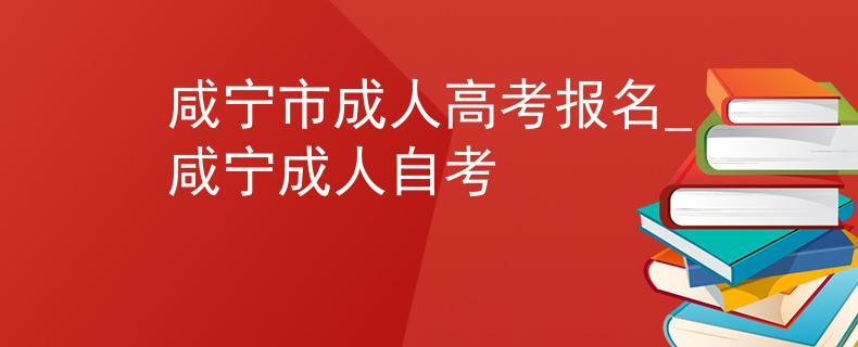 咸寧市成人高考報名_咸寧成人自考