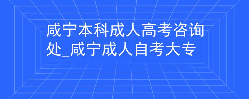 咸寧本科成人高考咨詢處_咸寧成人自考大專