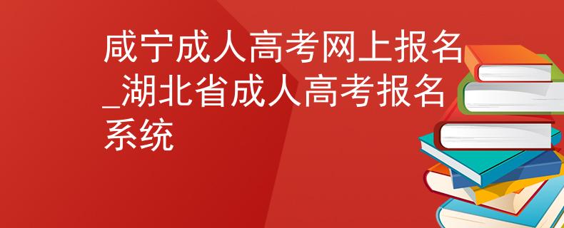 咸寧成人高考網(wǎng)上報(bào)名_湖北省成人高考報(bào)名系統(tǒng)
