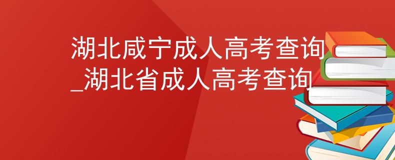 湖北咸寧成人高考查詢(xún)_湖北省成人高考查詢(xún)