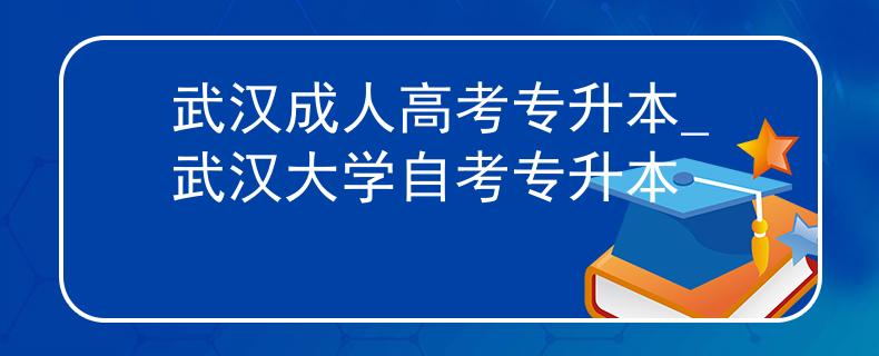 武漢成人高考專升本_武漢大學(xué)自考專升本